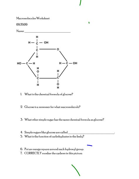 macromolecules coloring worksheet answer key